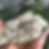 Thumbnail: Blue and Grey Stalactitic Cactus Amethyst Cluster 