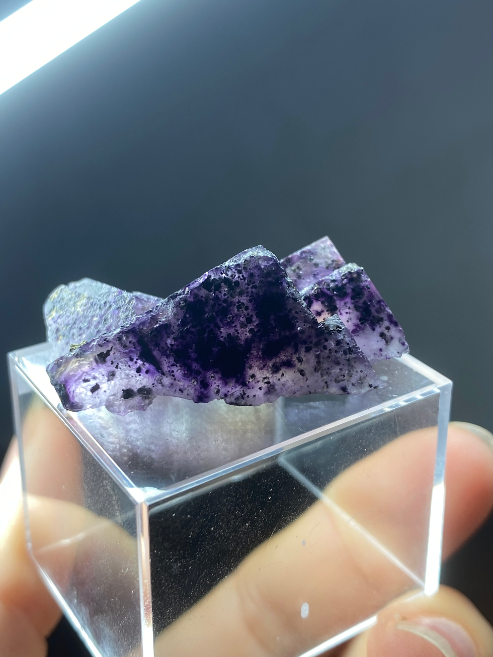 Thumbnail: German Fluorite from Bergmannish Gluck Mine with Chalcopyrite