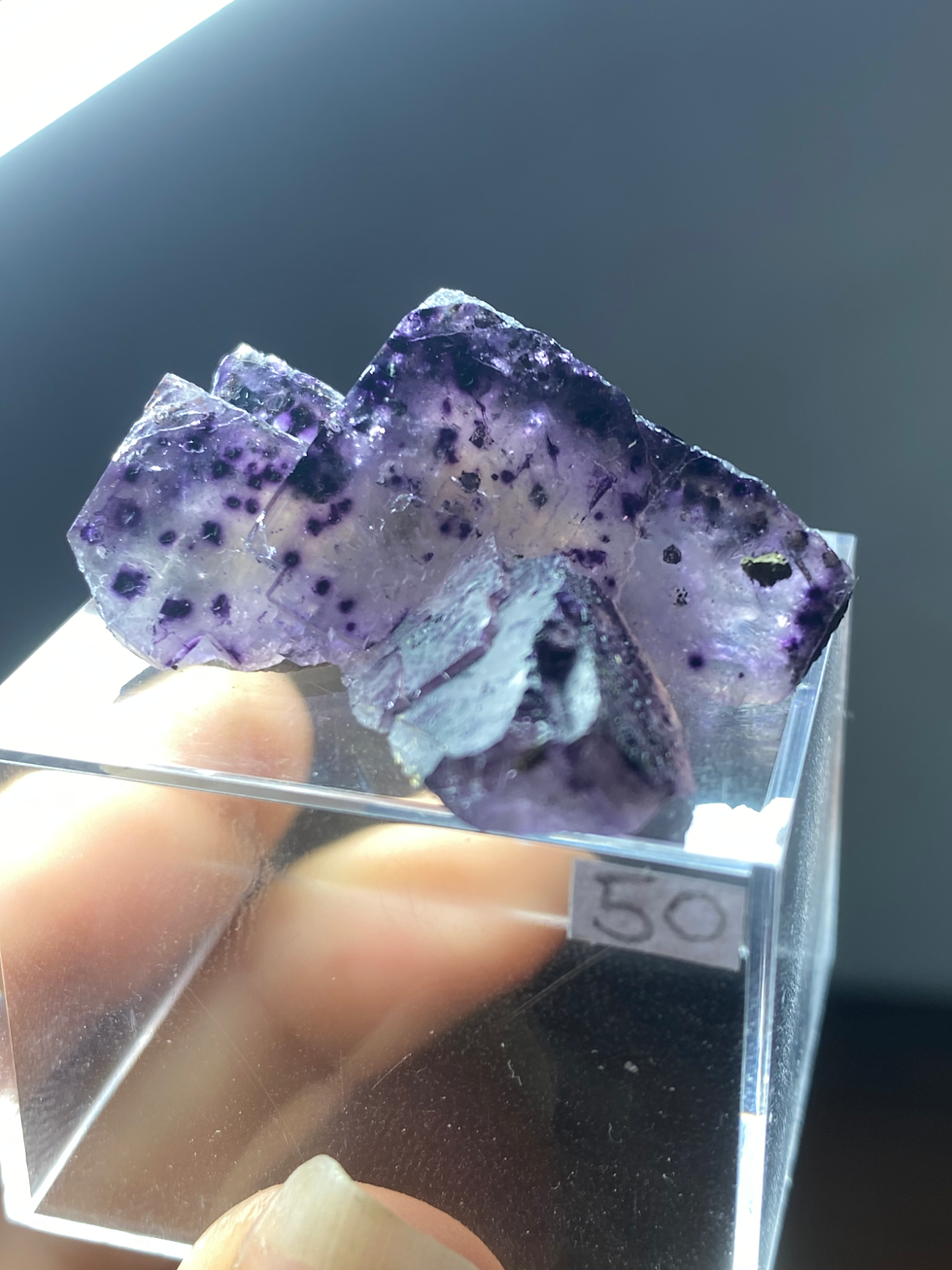 Thumbnail: German Fluorite from Bergmannish Gluck Mine with Chalcopyrite