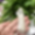 Thumbnail: Clear sugar quartz point 