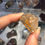 Thumbnail: Golden Rutile in clear Quartz small freeform from brazil