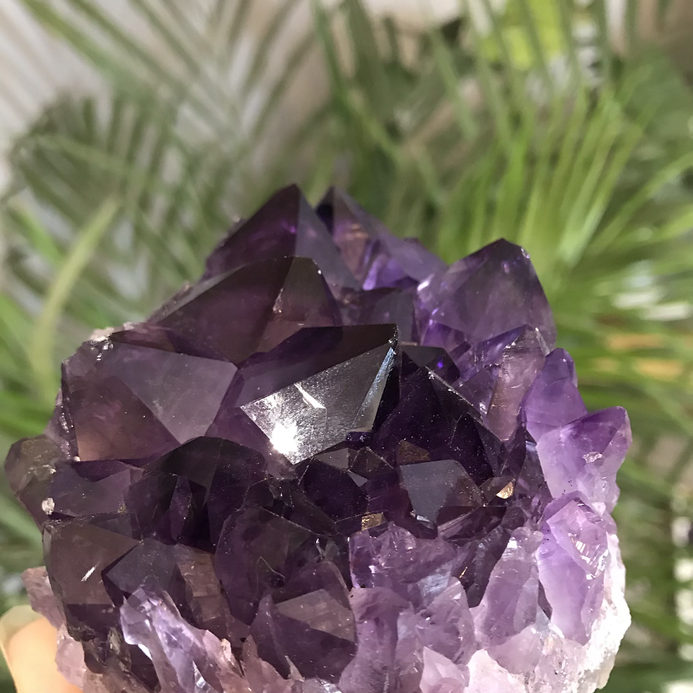 Thumbnail: High Grade Amethyst Cluster with Large Points from Uruguay 