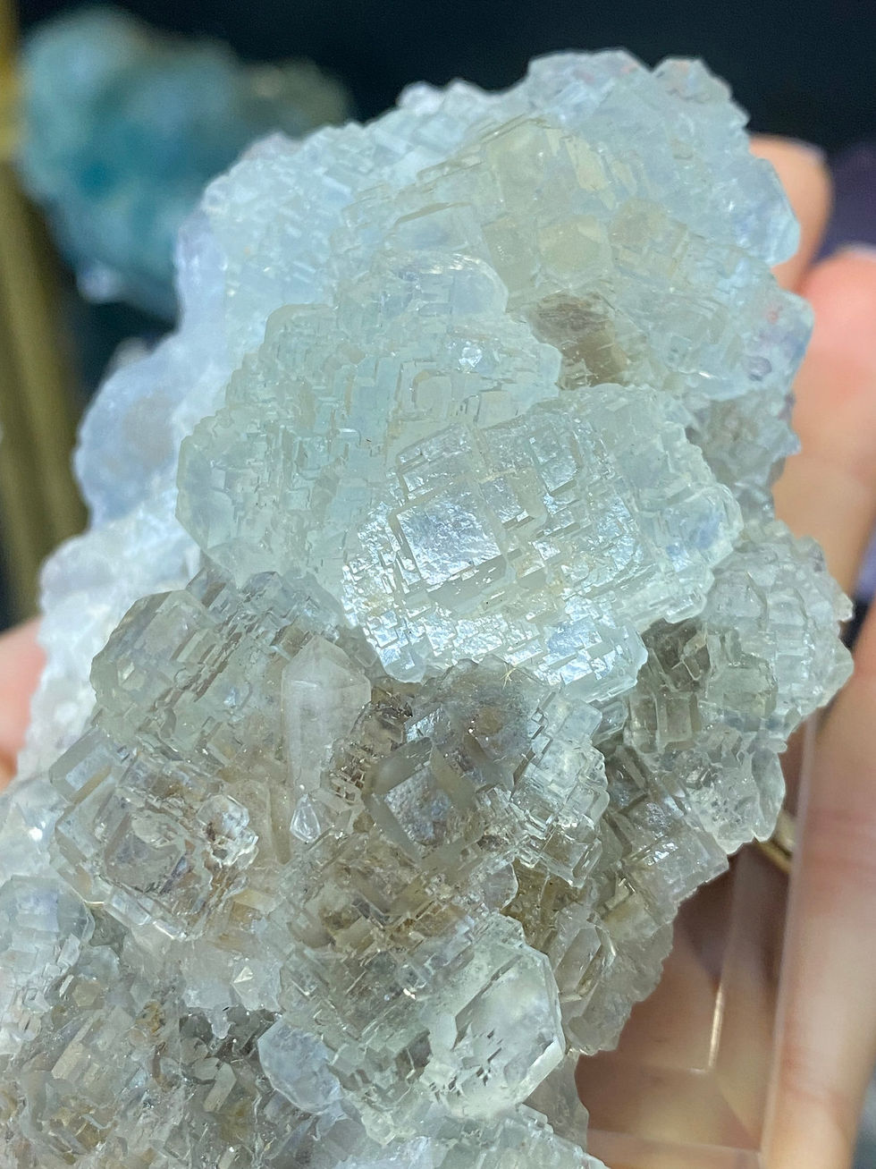 Thumbnail: High Quality Cubic Blue Fluorite cluster From Yindu, China with good Clarity