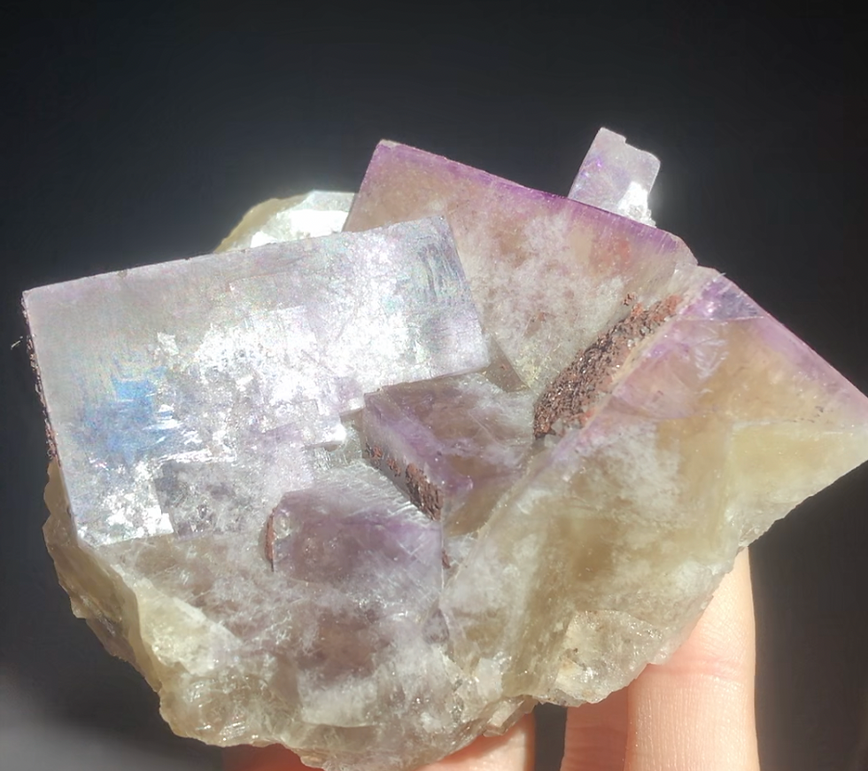 Thumbnail: Purple and Yellow Fluorite From Greenlaws, UK