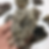 Thumbnail: Blue and Grey Stalactitic Cactus Amethyst Cluster 