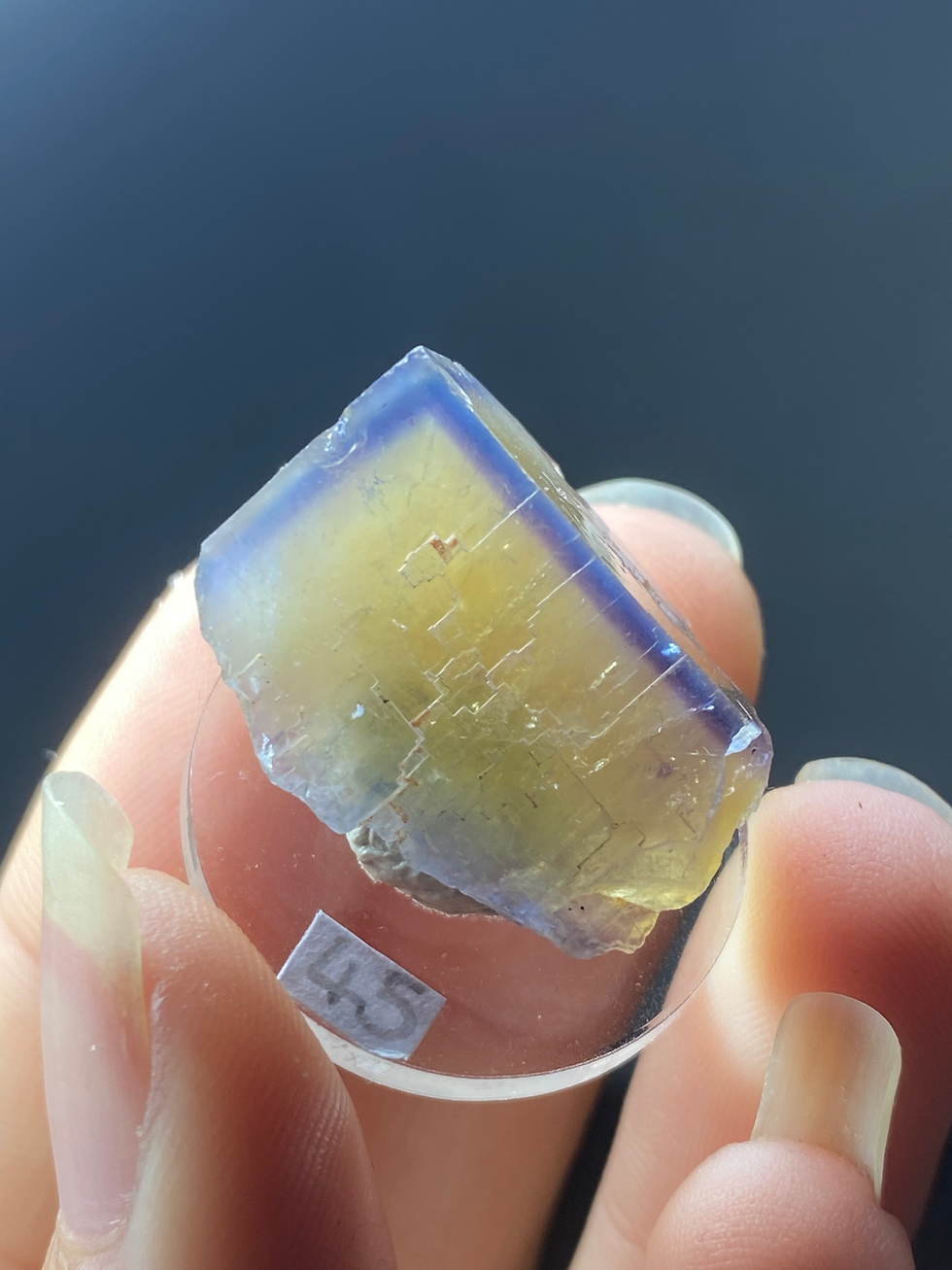Thumbnail: La Barre French Fluorite with great Zoning