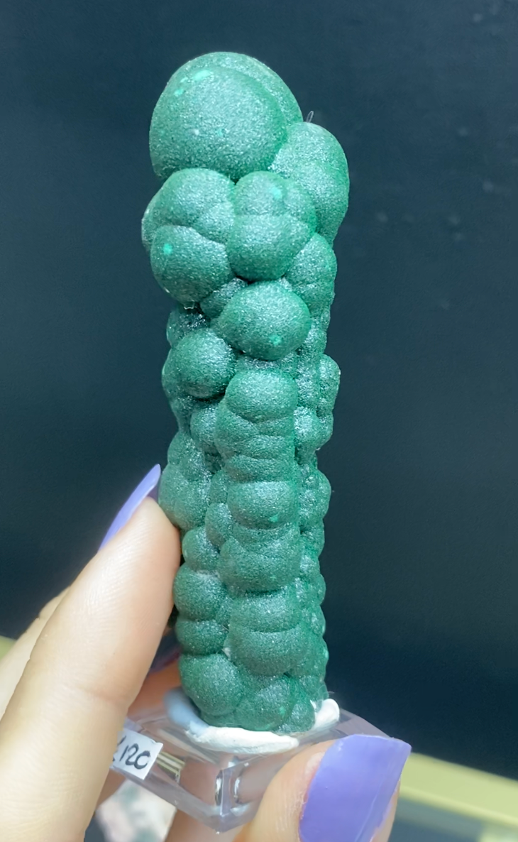 Thumbnail: Malachite Stalactite Botryoidal formation with sparkling lustre