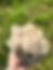 Thumbnail: Large Natural Citrine Cluster