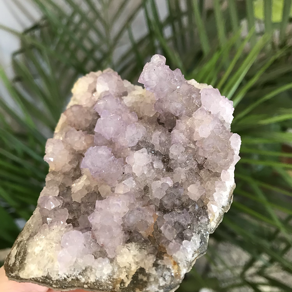 Thumbnail: Lilac Cactus Amethyst Cluster 