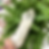 Thumbnail: Clear sugar quartz point 