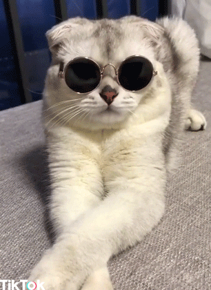 ba27bb09cb83b9de9559c34a866b3fc1.gif