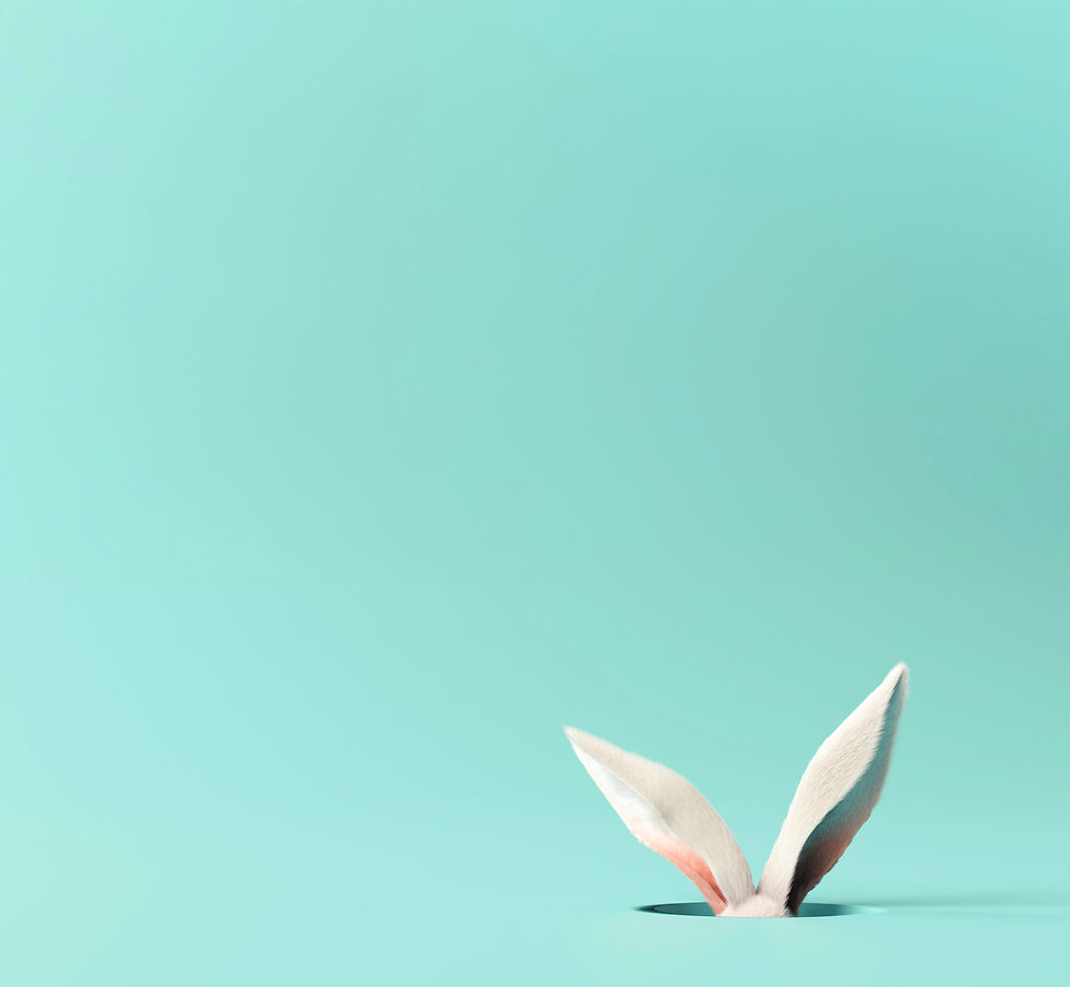 Rabbit Ears Showing