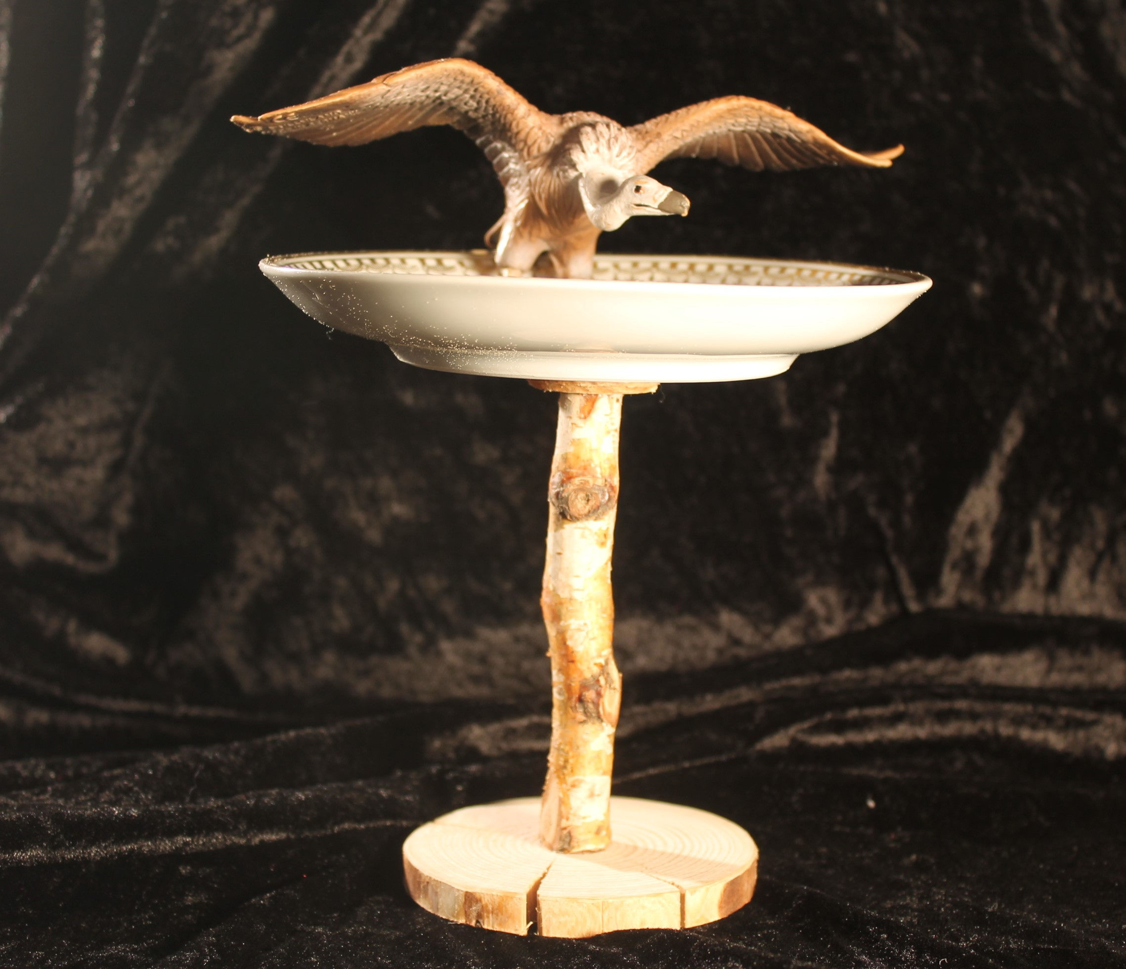 Adler und Geier