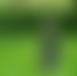 Life: I moved to Newcastle - for four days!