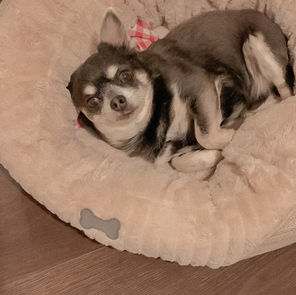 Try These Tips to Feel Less Jaded Day-to-Day