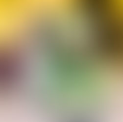 Titus: T.rex is King Exhibition at Wollaton Hall Nottingham