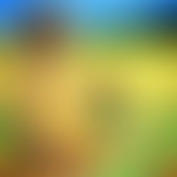 Home: How To Bring A Touch Of Nature To Your Home