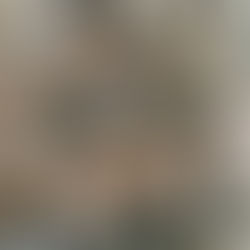 Lifestyle: Have Yourself a Mindful Little Christmas