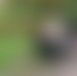 Health: How To Start To Combat The Stress In Your Life