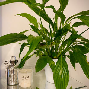 Home: How To Bring The Outside Into Your Home