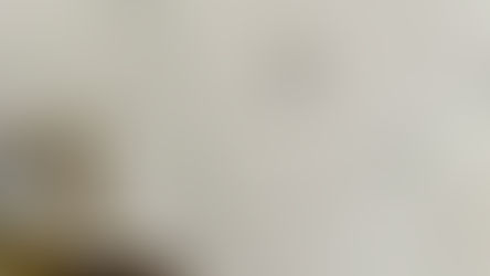 Home: My Step-by-Step Guide to Buying a House