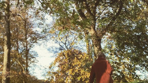 Lifestyle: Things You Should Be Doing This November