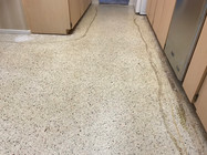 IMG_4822.JPEG