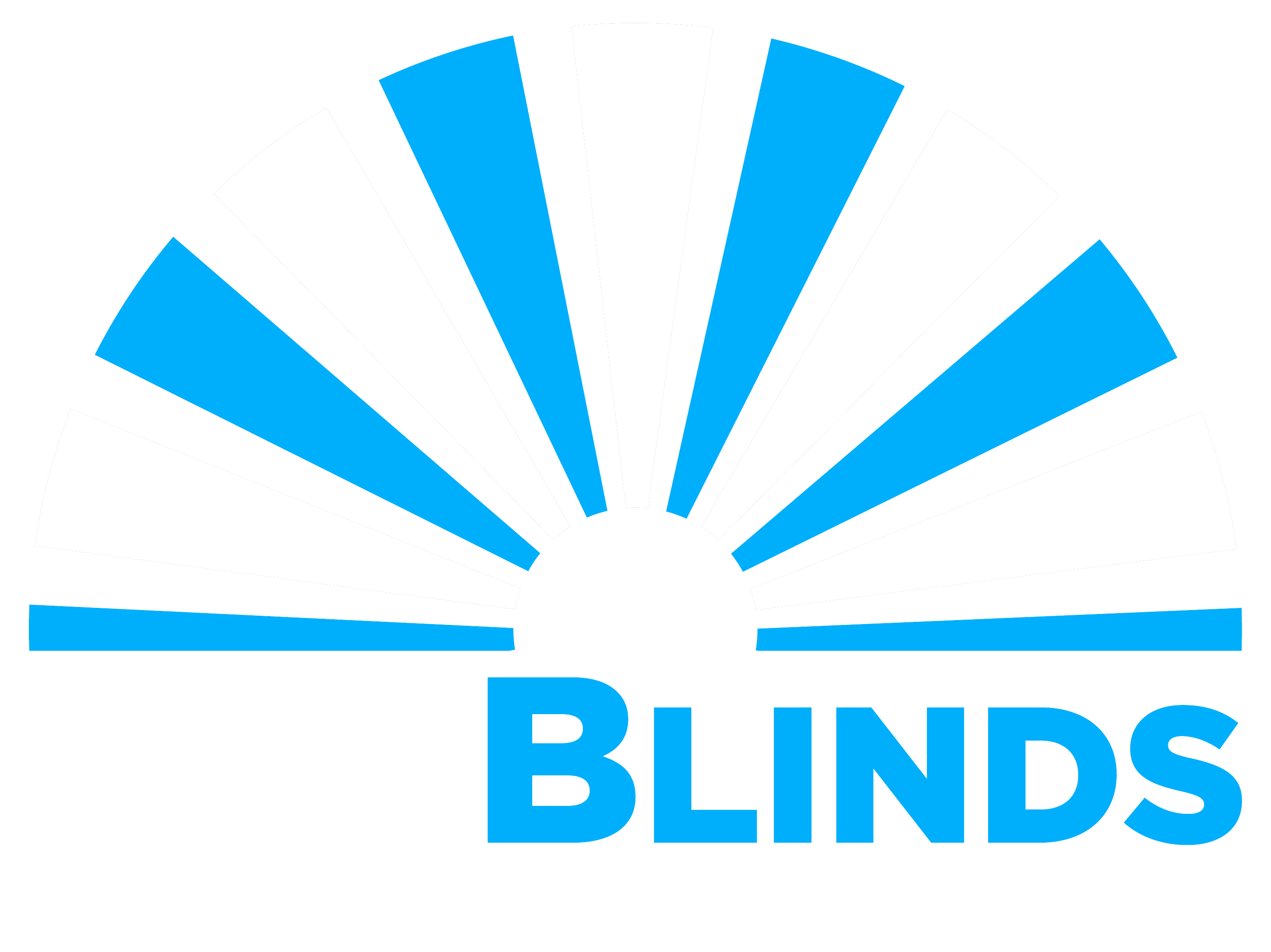 Pro Blinds.png