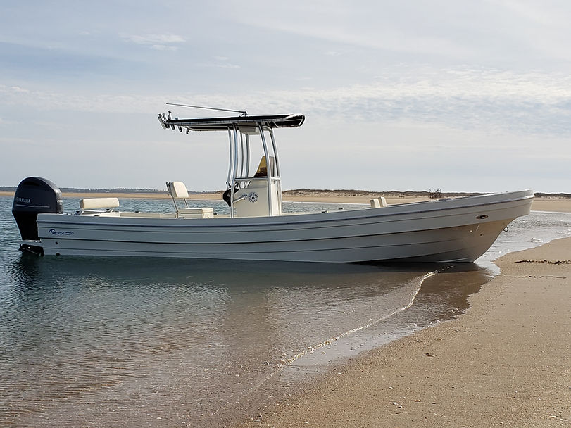 bow beached 2.jpg