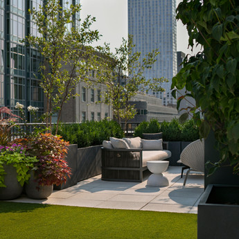 NYC & Brooklyn Landscape Design | New Eco Landscapes