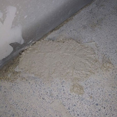 fix terrazzo floor.jpeg