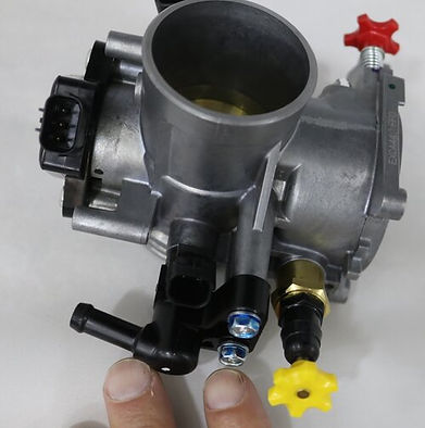 IMG_0161+(1) (1).jpg