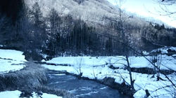 getImage