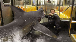 AP_Sharknado2_ml_140731_16x9_992