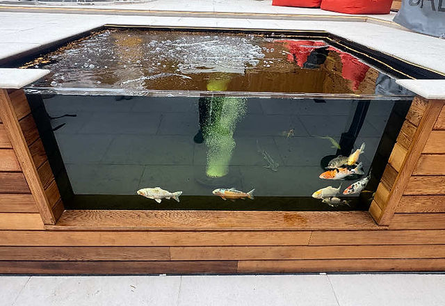 21.5mm Pond Viewing Window | Toughened Laminated Pond Glass UK