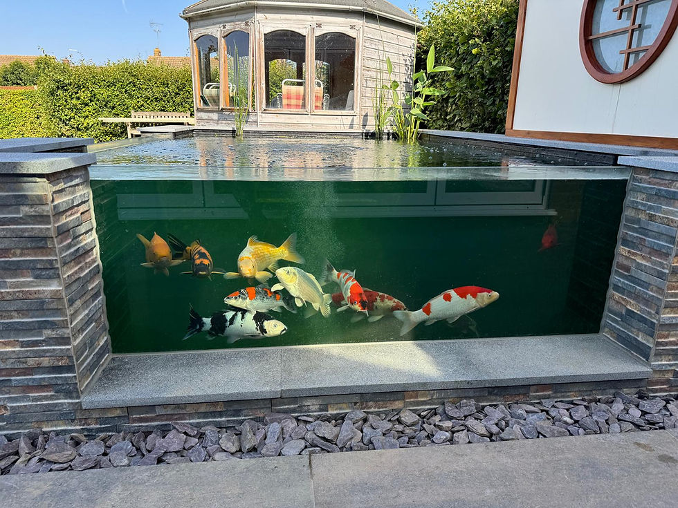 How to Fit a Pond Window: Step-by-Step Installation Guide