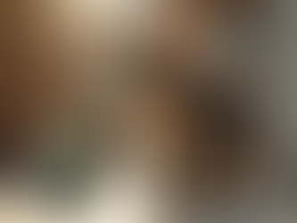 Kosten van een kat thuis laten inslapen uitgelegd