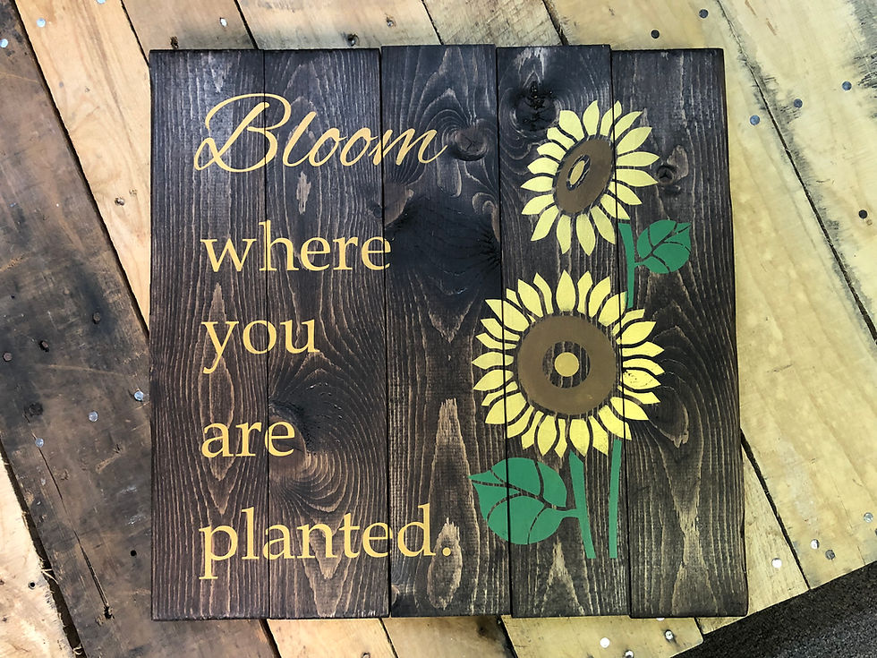 Bloom Where You Are Planted