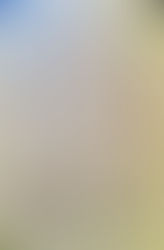 Décembre mois en 1, Banzaï je bouge : nouveau, action, autonomie, oser, légitimité ...