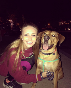 Screen Shot 2017-03-07 at 2.53.12 AM