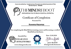 Copy of Mind Reboot Certificate Master.png