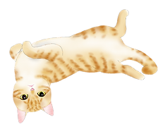 虎へそてん
