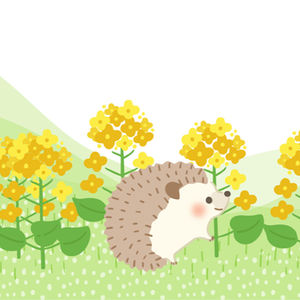 近日公開予定