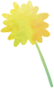 たんぽぽ