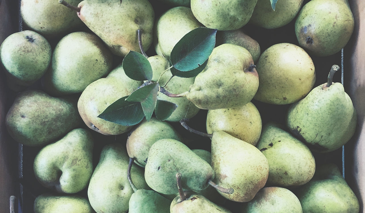 Pear Harvest