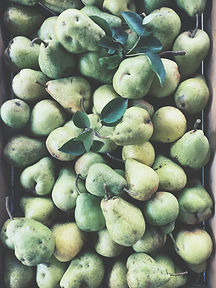 Pear Harvest