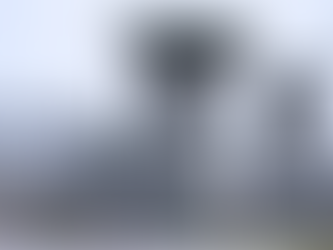 One Law, Two Systems: The Role of Wealth, Influence, and Power Dynamics in U. S. Incarceration