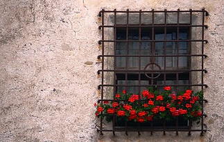 Screenshot 2025-10-15 at 12.52.45 AM.png