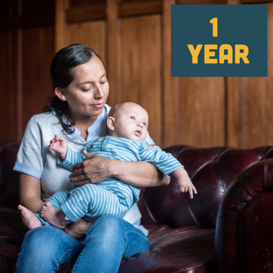 Colocaciones sustitutas ilimitadas por un año