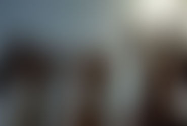 Demócratas, ¿ una especie en extinción?